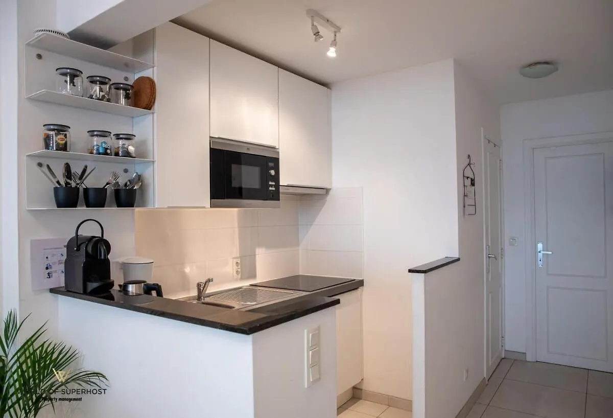 אוסטנדה Nice Apartment With Gorgeous Sea Views